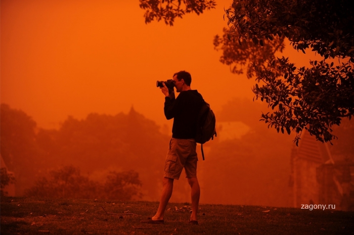 «Марсианские бури» Сиднея (15 фото)