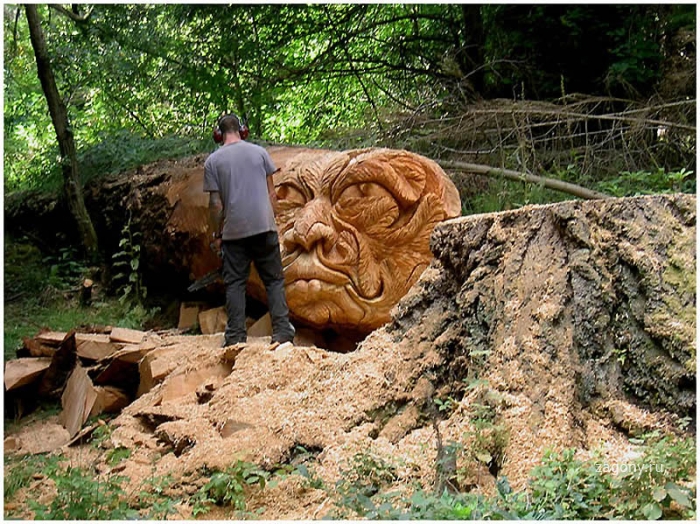 Скульптуры из срубленных деревьев (13 фото)