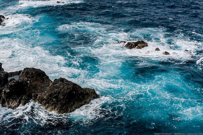 Живописный остров Мадейра (47 фото)