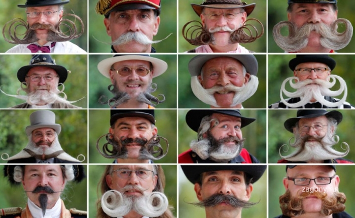 Конкурс усов и бород во Франции (18 фото)