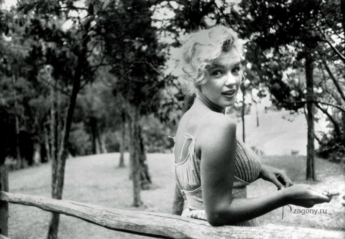 Marilyn Monroe (20 фото)
