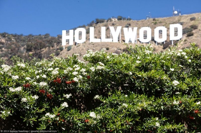 Восхождение на Голливуд-Хиллз (40 фото)