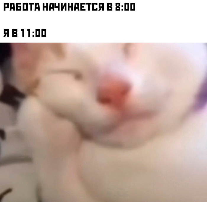 Юмор из интернета (28/12/2023)