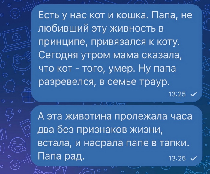 Высказывания принципы