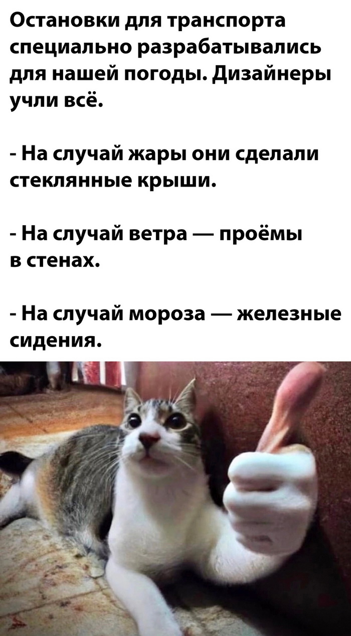 Тебе мое последнее письмо