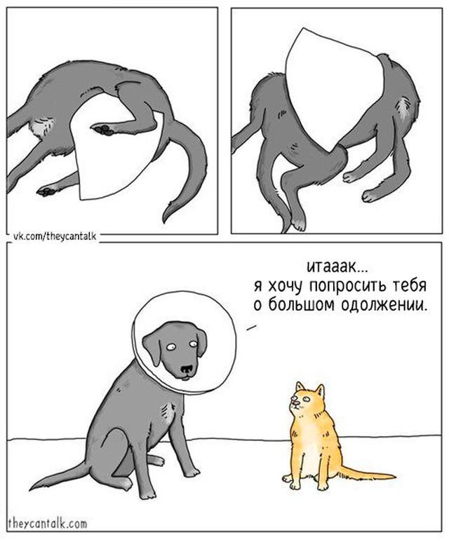 Комиксы про общение животных