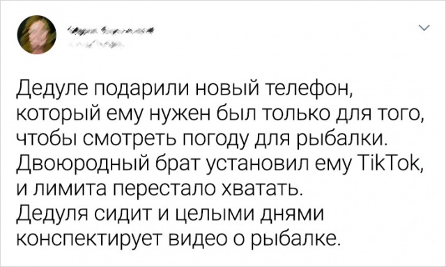 Забавные истории