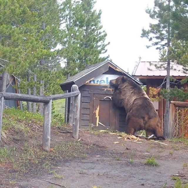 Размер имеет значение