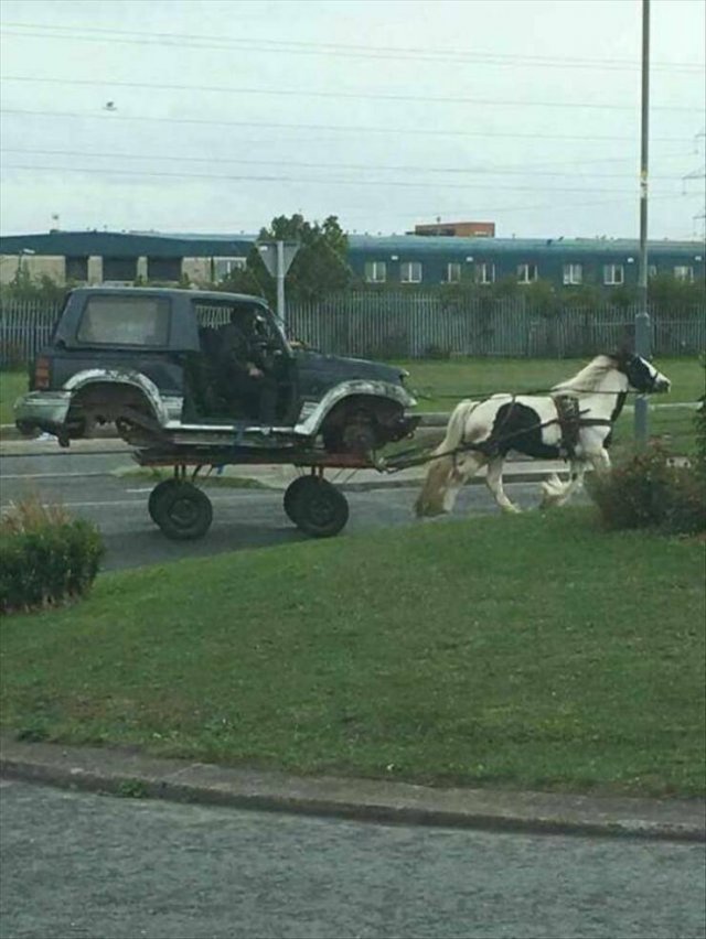 Прикольные фотографии на четверг