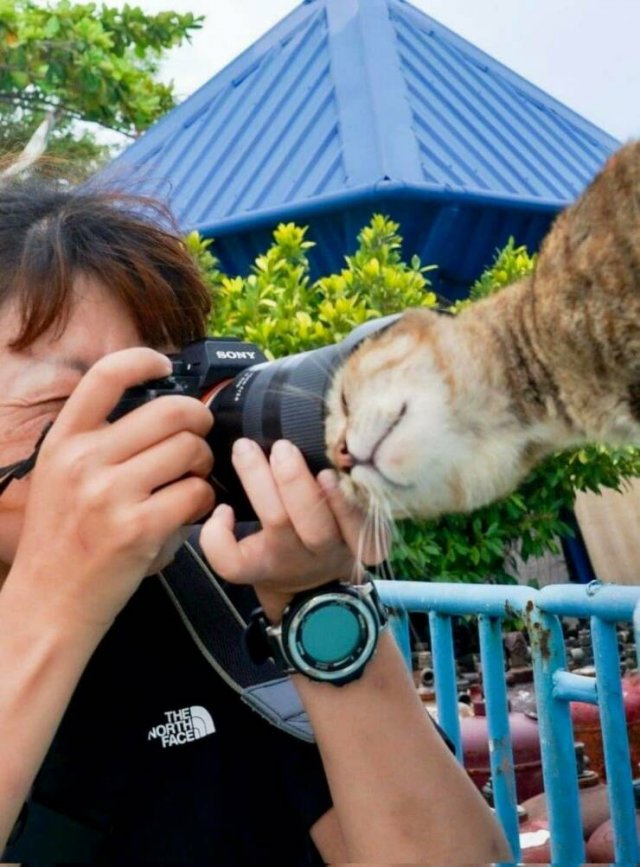 Прикольные фотографии на четверг