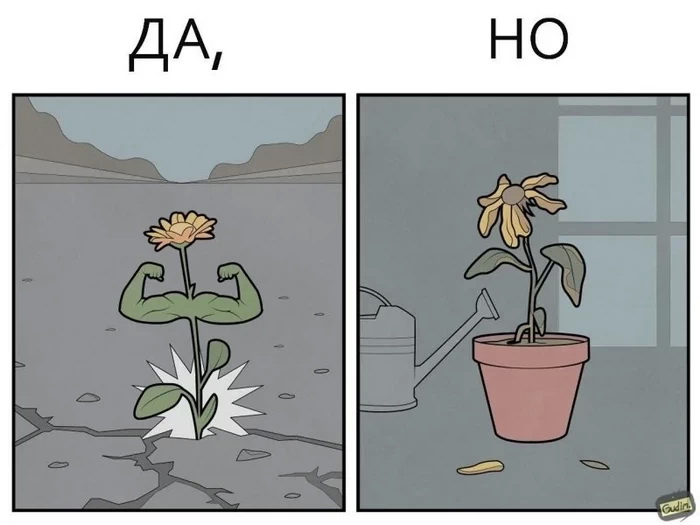 Да, но... (23/09/2024)