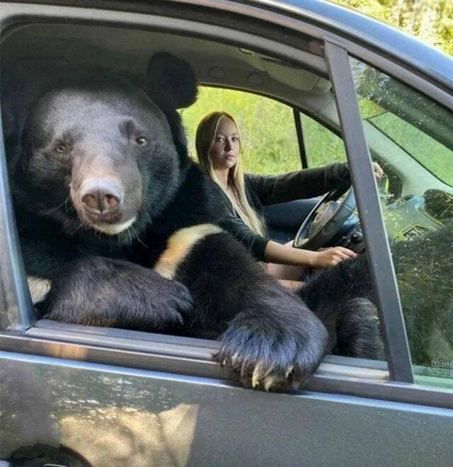 Прикольные фотографии на среду