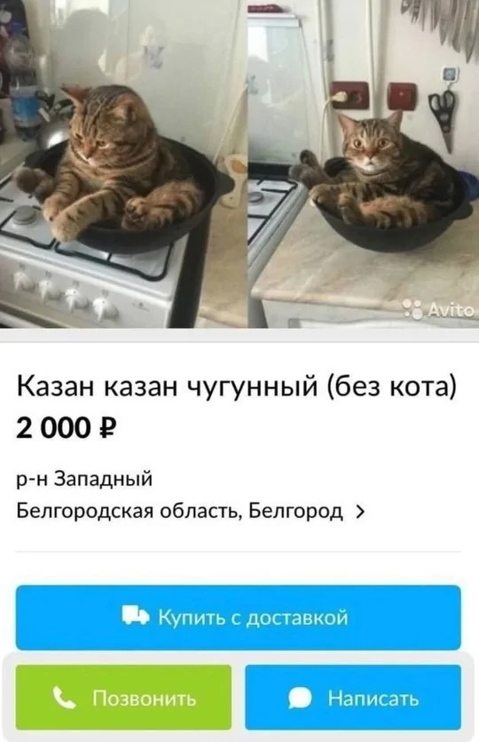 Странные объявления о продаже