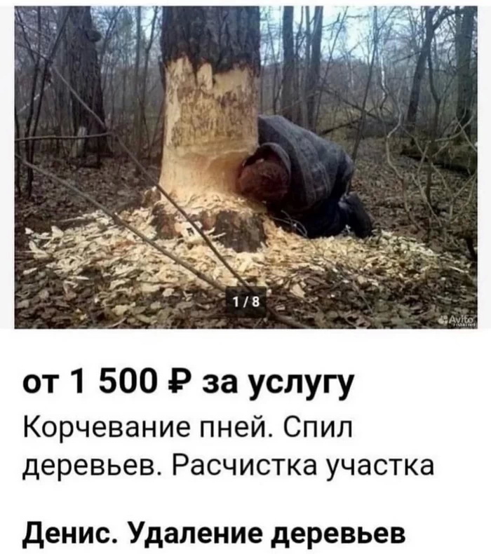 Странные резюме