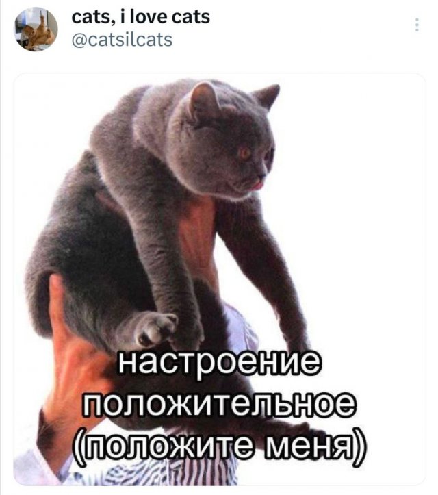 Скриншоты из социальных сетей. Часть 2120