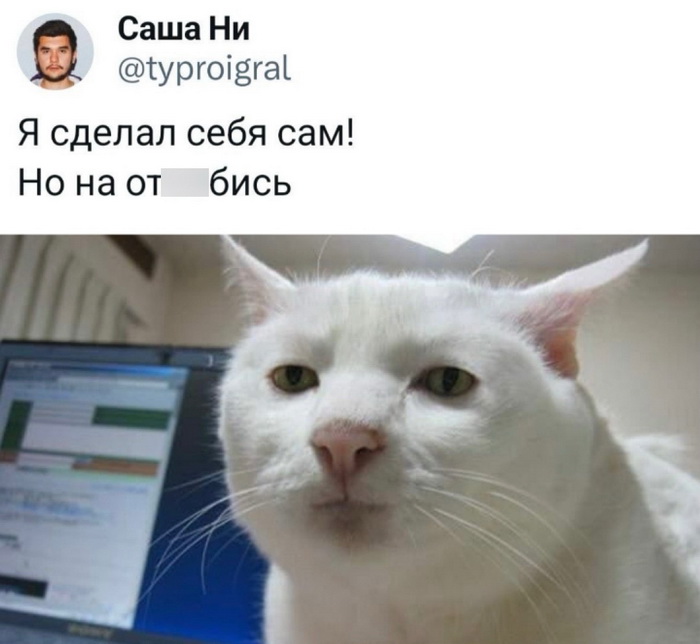 Скриншоты из социальных сетей. Часть 2121