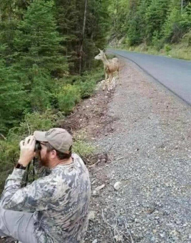 Прикольные фотографии на среду