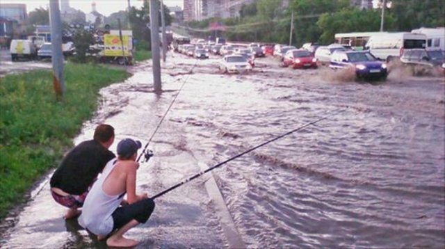 Прикольные фотографии на пятницу