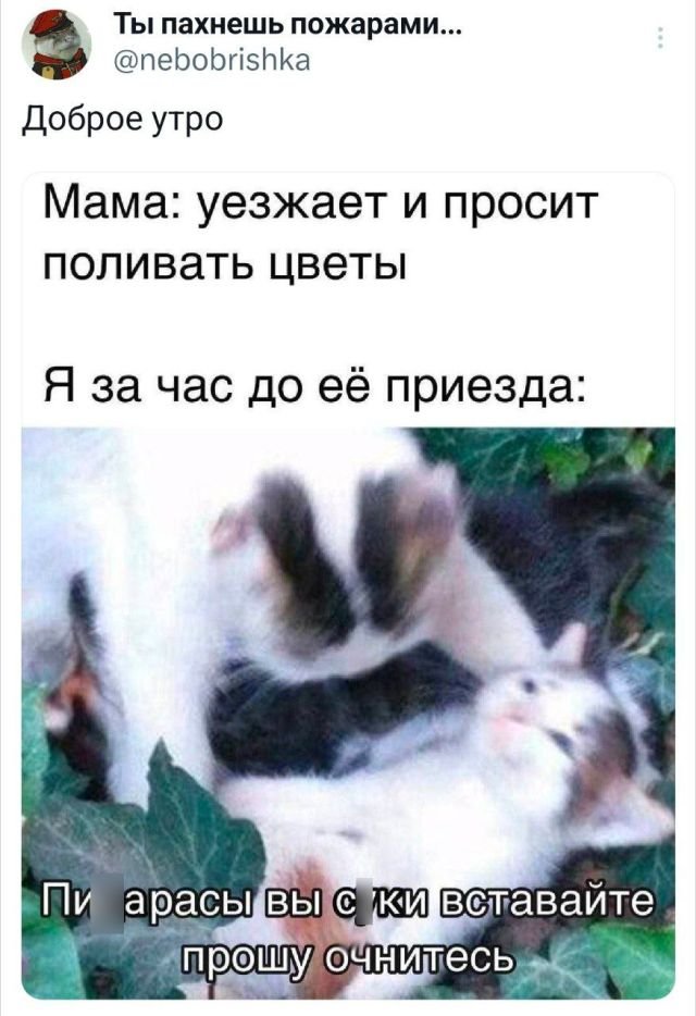 Скриншоты из социальных сетей. Часть 2136