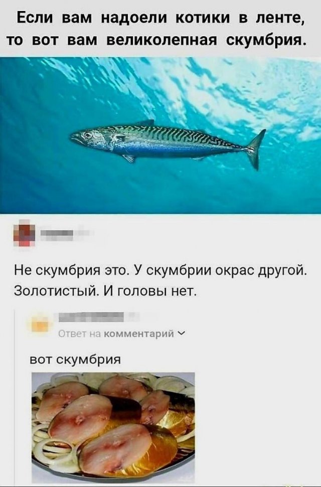 Скриншоты из социальных сетей. Часть 2136