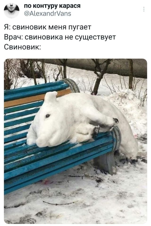 Скриншоты из социальных сетей. Часть 2141