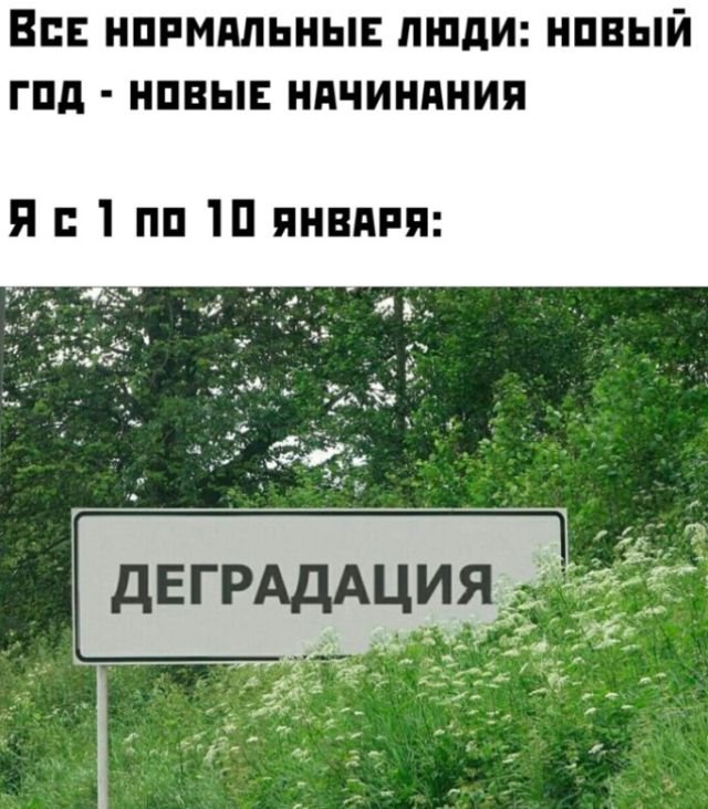 Юмор про Новый год